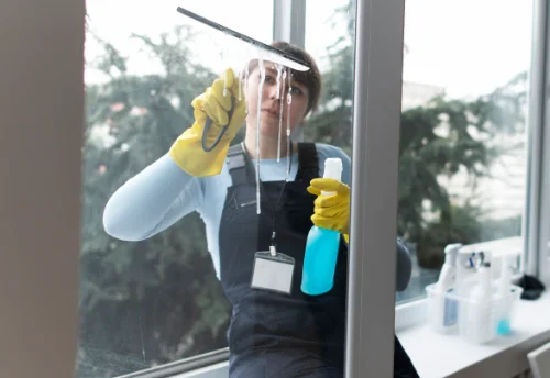 Nettoyage de vitres intérieures et extérieures à Saint-Santin